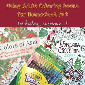 Using Adult Coloring Books for Homeschool Art (or history, or science...) from Starts At Eight