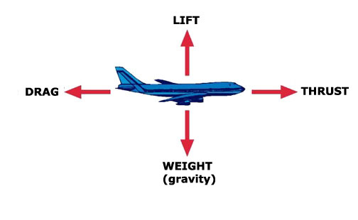 Homeschool Science Aerodynamics with Paper Airplanes StartsAtEight