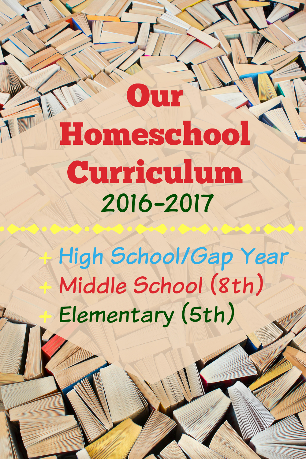 Our Homeschool Curriculum 2016-2017 from Starts At Eight