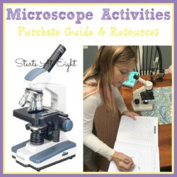 Microscope Activities - Includes Purchase Guide & Resources from Starts At Eight. Learn what features to look for in a microscope, engage in learning the parts of a microscope, participate in microscope activities, and check out other microscope resources and books. Great for homeschoolers of ages - elementary, middle school and high school alike!