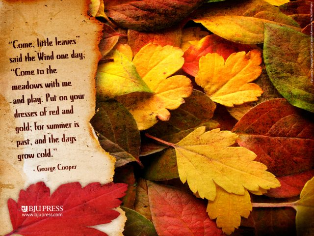 Fall Leaves Poetry