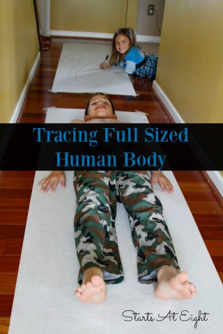 tracing-full-sized-human-body