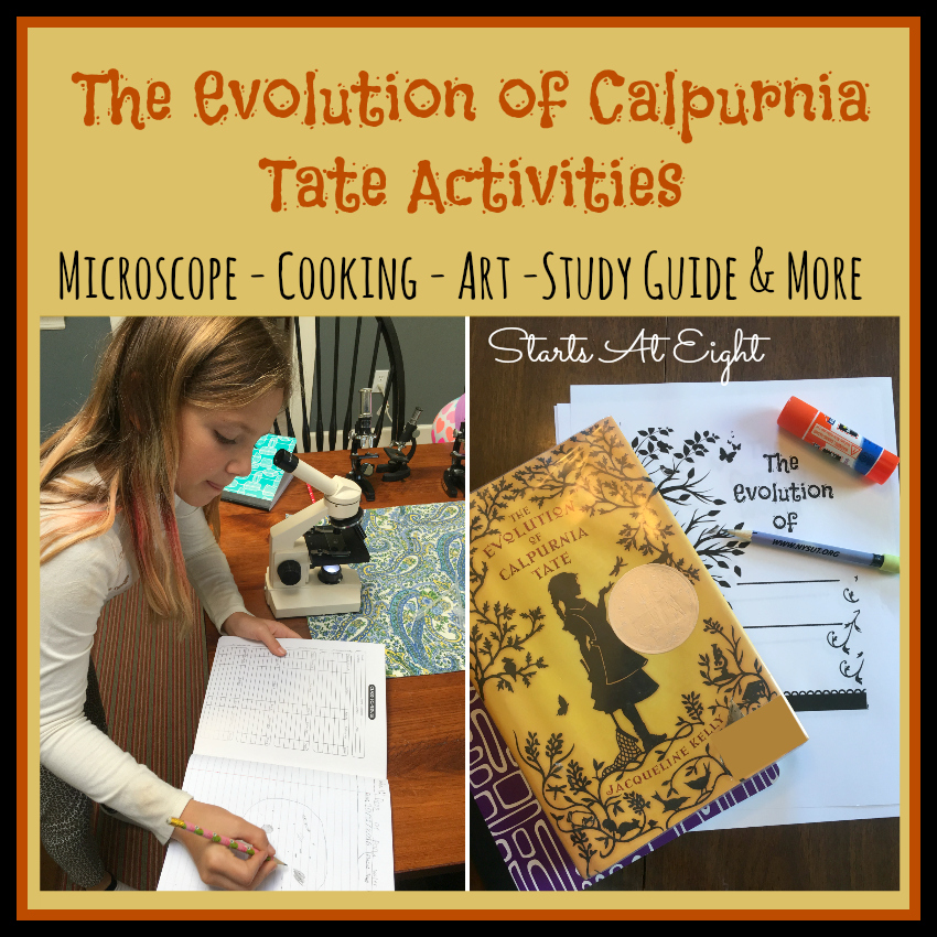 The Evolution of Calpurnia Tate Activities from Starts At Eight. All things Evolution of Calpurnia Tate. Calpurnia Tate discussion questions, vocabulary, study guide, microscope activities, free printables, art project and more!