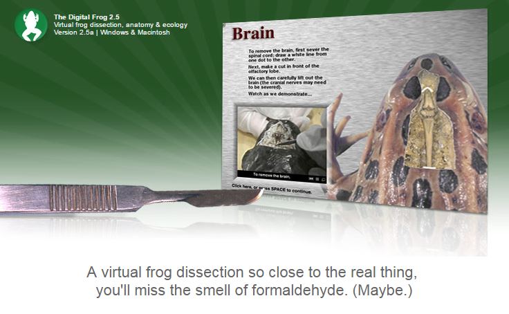 virtual frog dissection kit virtual frog dissection kit
