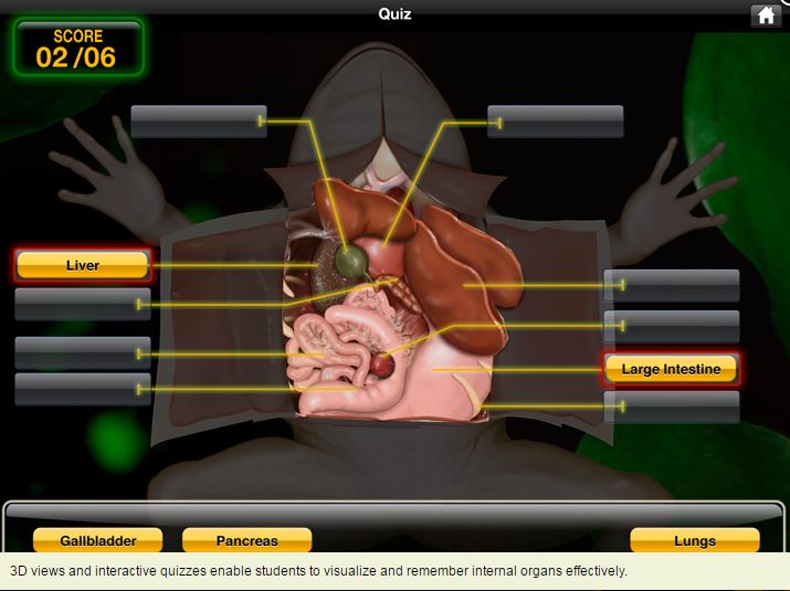 virtual frog dissection introduction virtual frog dissection introduction