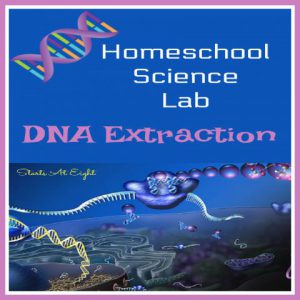 Homeschool Science Lab: DNA Extraction Lab from Starts At Eight