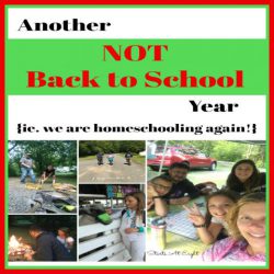 Another Not Back to School Year {ie. we are homeschooling again!} from Starts At Eight is about the joys and benefits of homeschooling our children instead of sending them off to school each year.