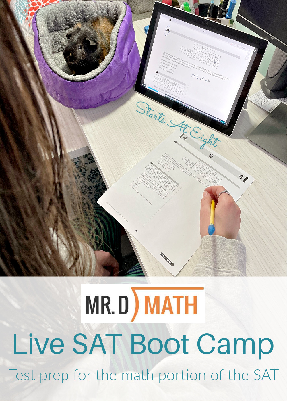 Mr.D Math Live SAT Boot Camp is a 6 week course that prepares high school students for the math portion of the SAT. They will learn test taking strategies, review formulas they'll need to memorize, take practice tests and more! A Review from Starts At Eight