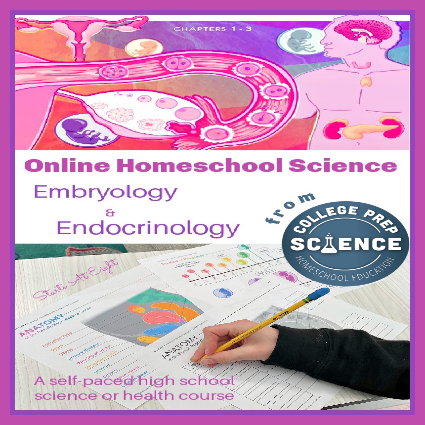 Online Homeschool Science: Embryology and Endocrinology