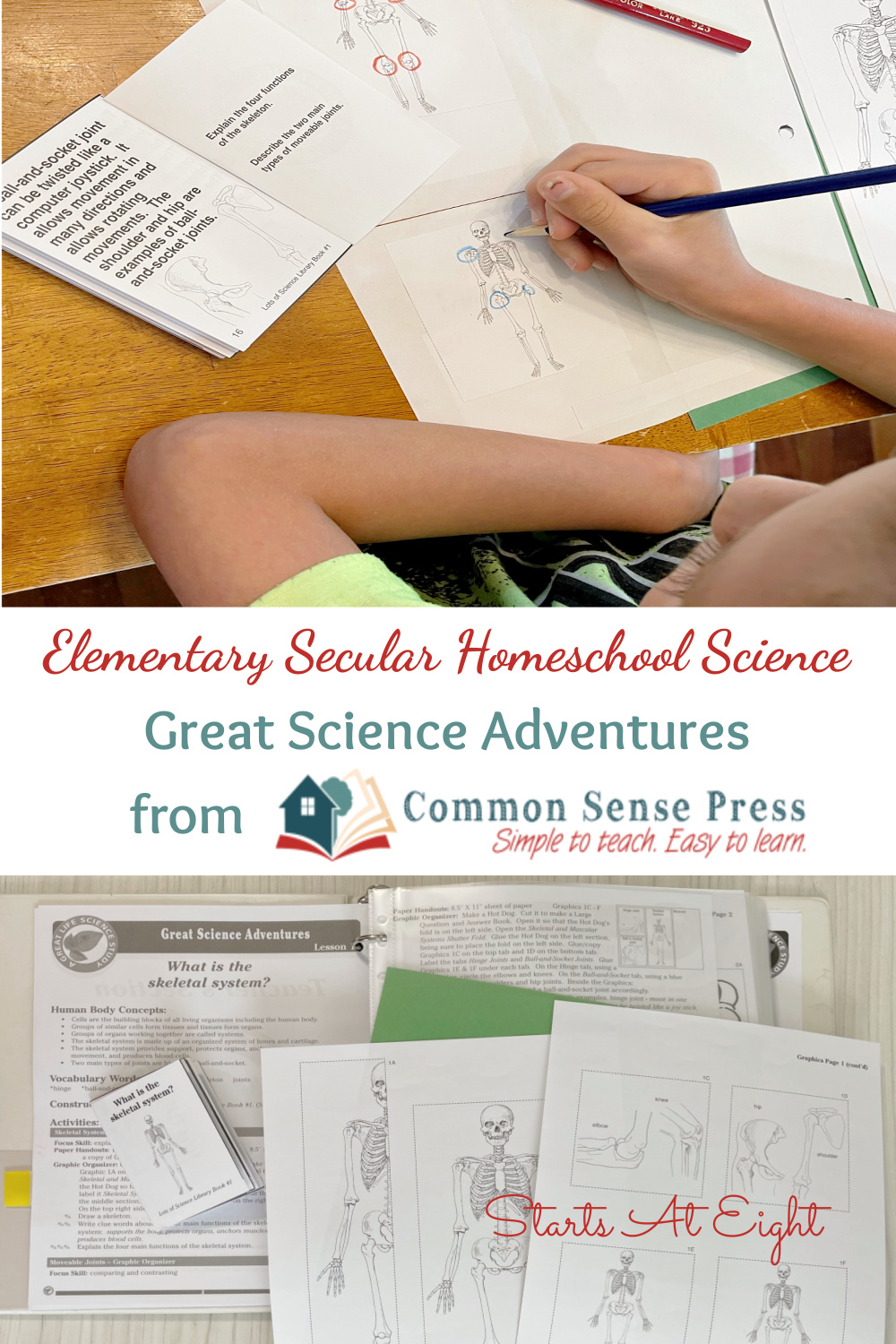 Great Science Adventures from Common Sense Press are easy to use, elementary secular homeschool science programs that can be used with multiple ages! This is a review of the Discovering the Human Body and Senses from Starts At Eight