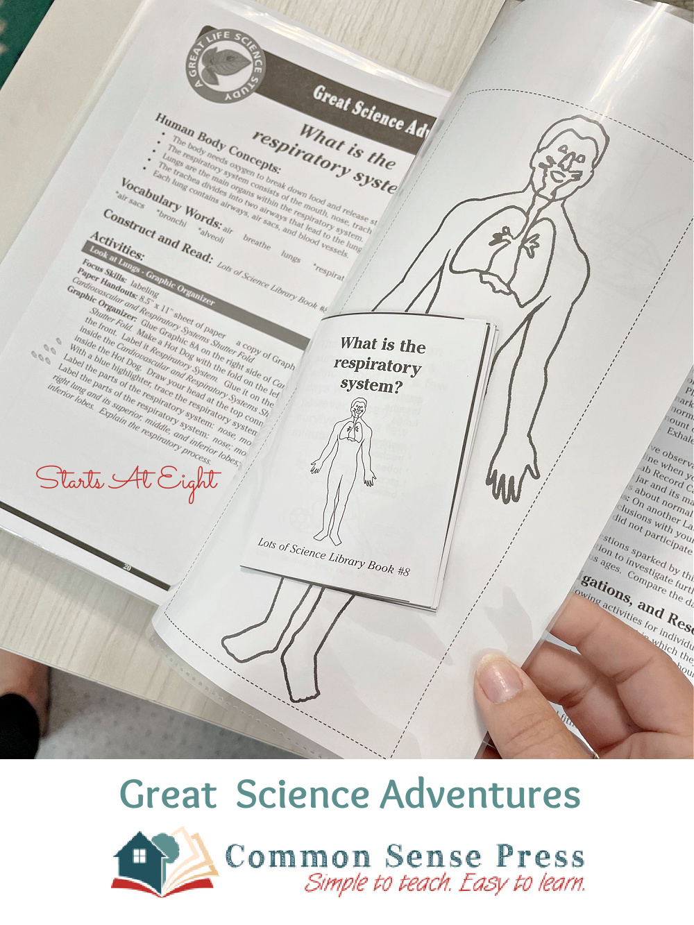 Great Science Adventures from Common Sense Press are easy to use, elementary secular homeschool science programs that can be used with multiple ages! This is a review of the Discovering the Human Body and Senses from Starts At Eight