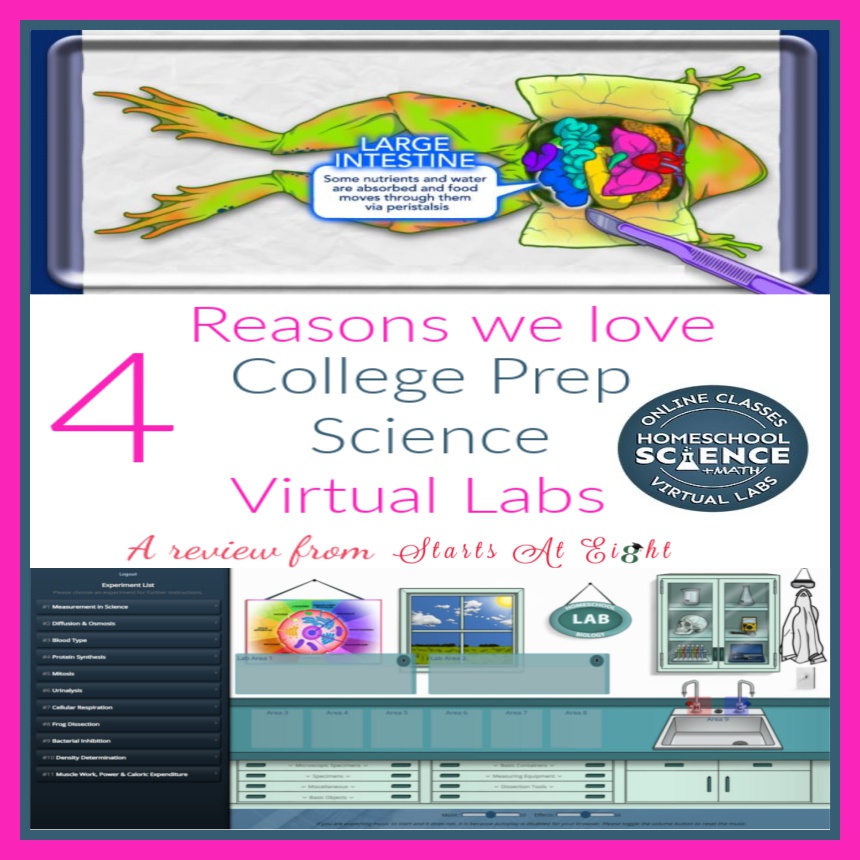 virtual frog dissection lab online