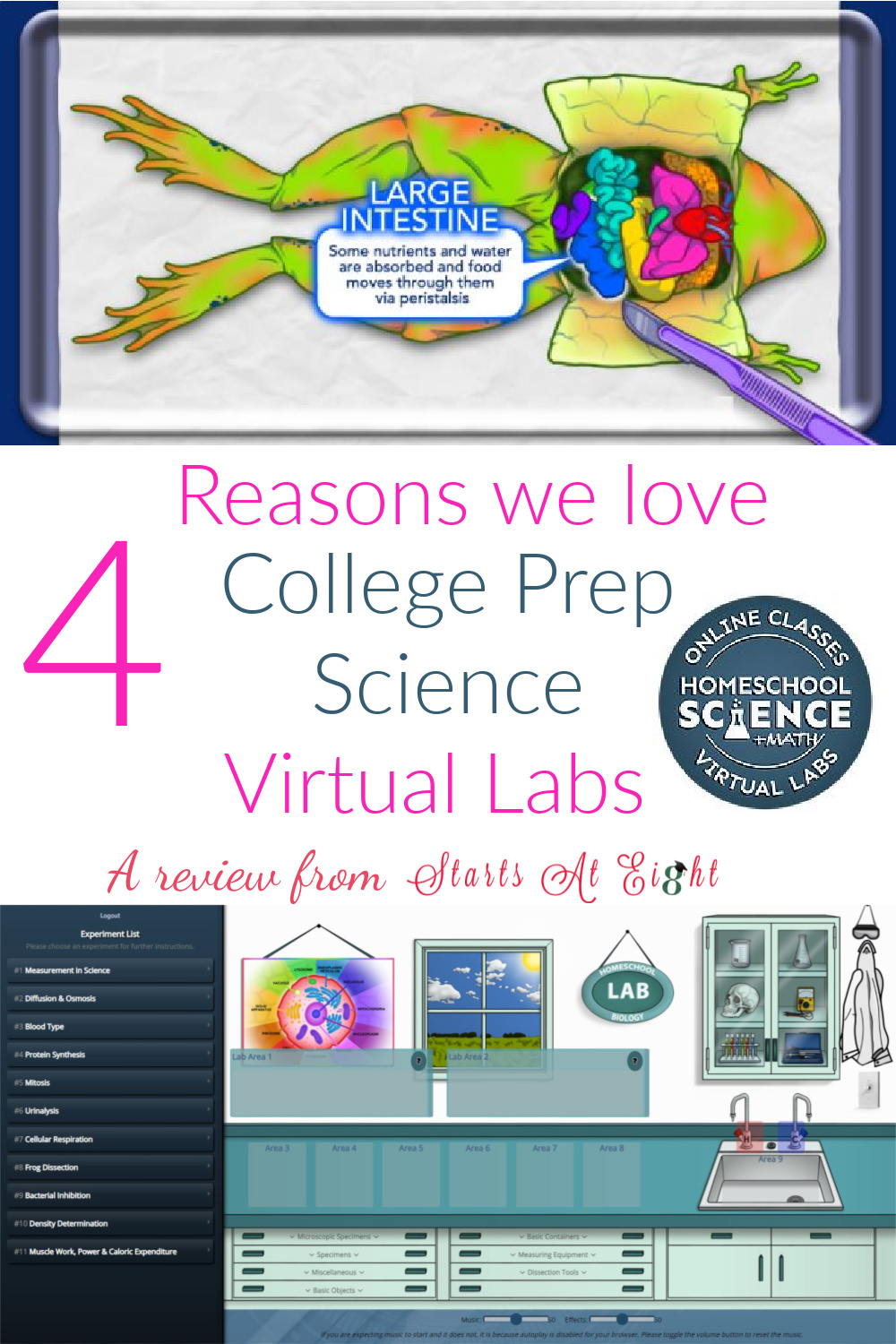 College Prep Science Virtual Labs for homeschooled students in grades 6-12 offer a solid lab experience without expensive supplies and gross smells! A review from Starts At Eight