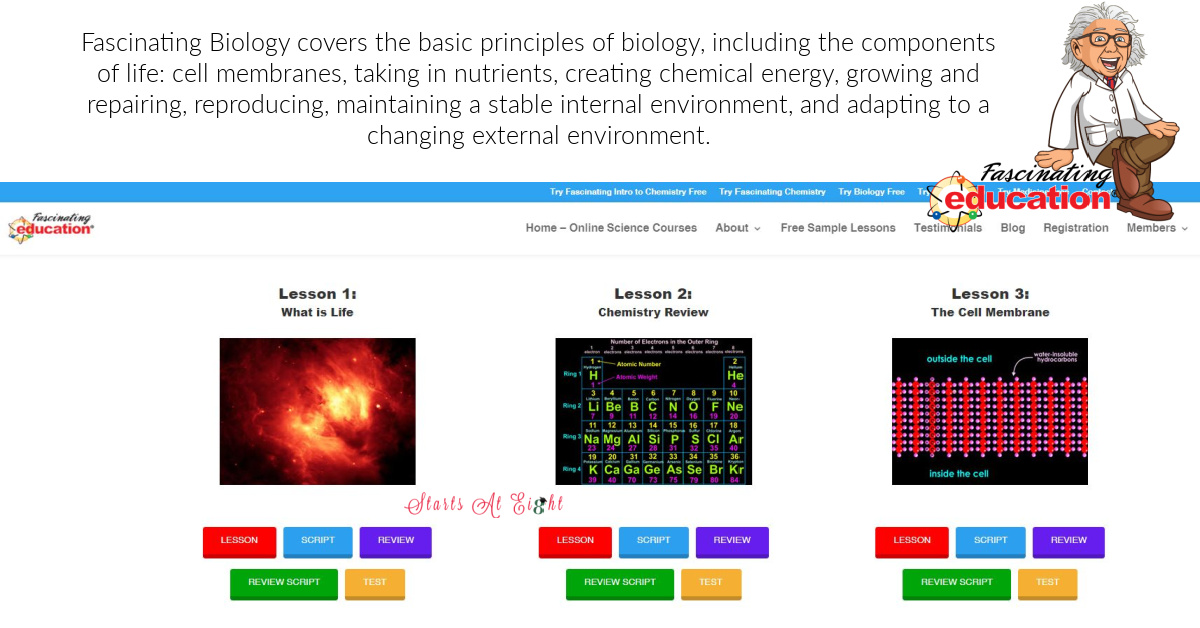 Online Homeschool High School Biology with Fascinating Education flips the teaching process by approaching science through the "right-hemisphere" of the brain. Using simple, colorful illustrations, supplemented with attached audio files to teach high school biology concepts. A review from Starts At Eight
