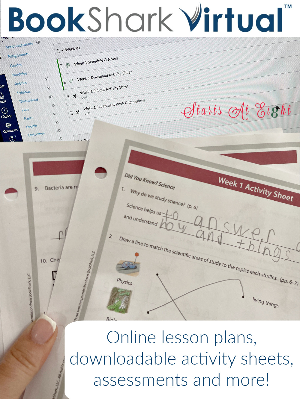 BookShark Virtual Online Homeschool Curriculum brings the power and ease of online accountability to a literature-rich curriculum! Online lesson plans, automated grading, printable worksheets, assessments and more! A review from Starts At Eight.