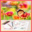 FREE Butterfly Garden Activities for Families includes free printables and fun ideas to take your learning outdoors! Create a butterfly garden, learn about their life cycle and more!