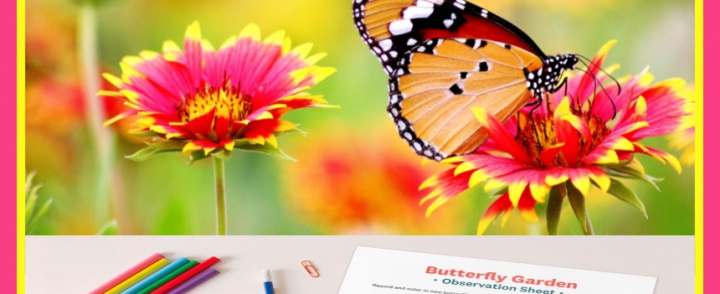 FREE Butterfly Garden Activities for Families
