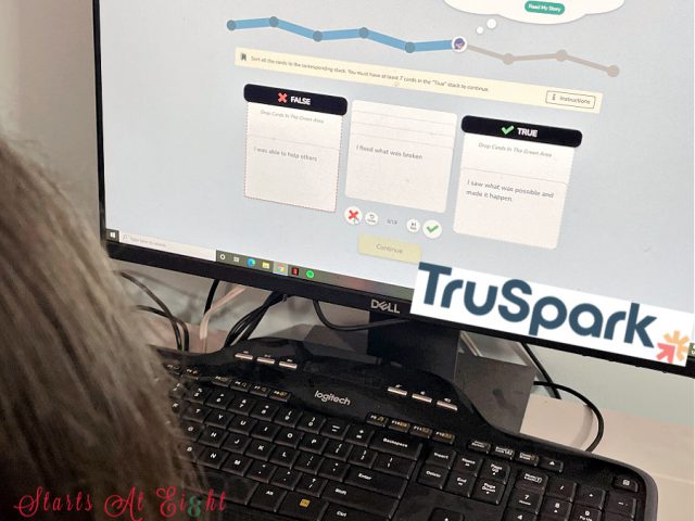 TruSpark Career Assessment assists teens in finding their 3 core motivations, helping them understand what drives them and how that relates to finding a career. A review from Starts At Eight.