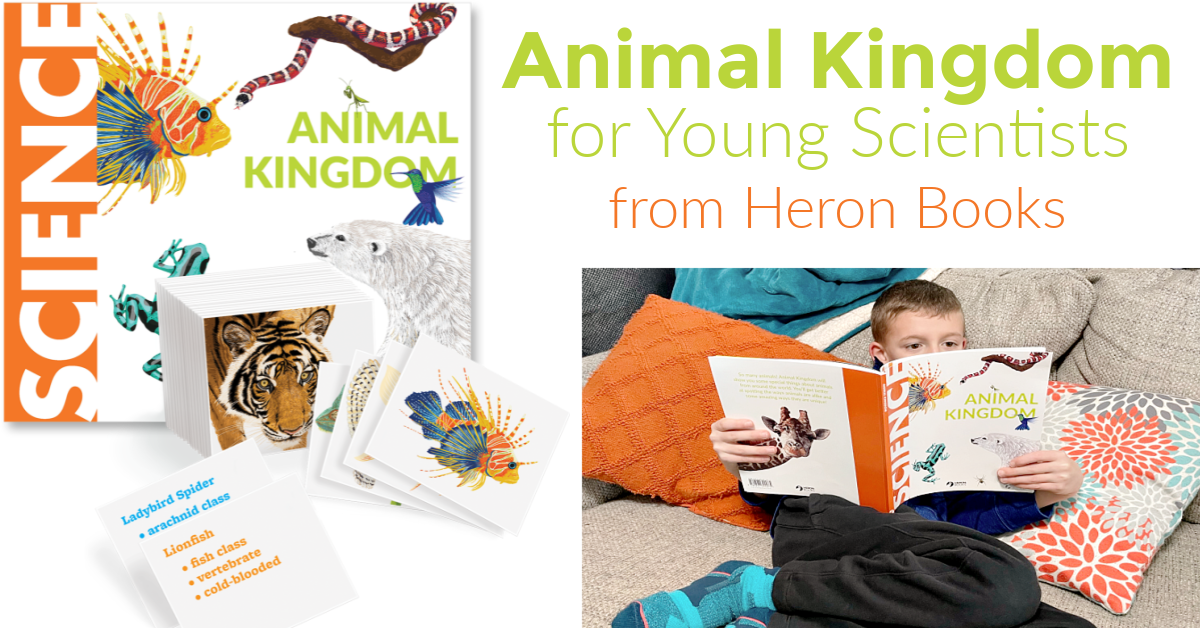 Animal Kingdom for Young Scientist from Heron Books teaches kids ages 7-9 about animal classification, invertebrates vs vertebrates, warm vs. cold blooded and more! A review from Starts At Eight