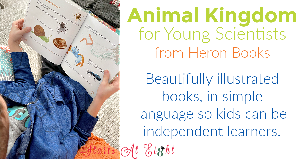 Animal Kingdom for Young Scientist from Heron Books teaches kids ages 7-9 about animal classification, invertebrates vs vertebrates, warm vs. cold blooded and more! A review from Starts At Eight