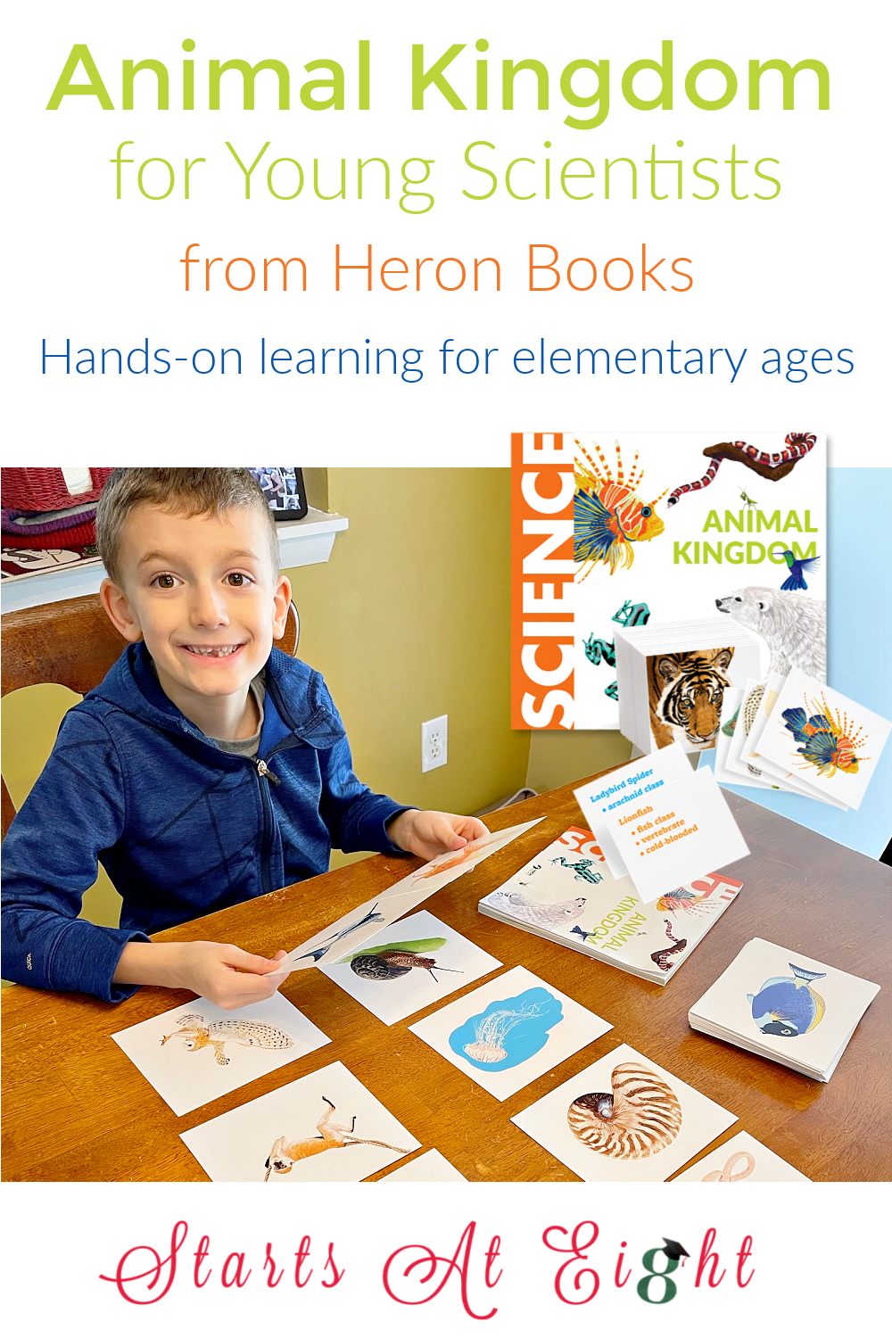 Animal Kingdom for Young Scientists - A Heron Books Review - StartsAtEight