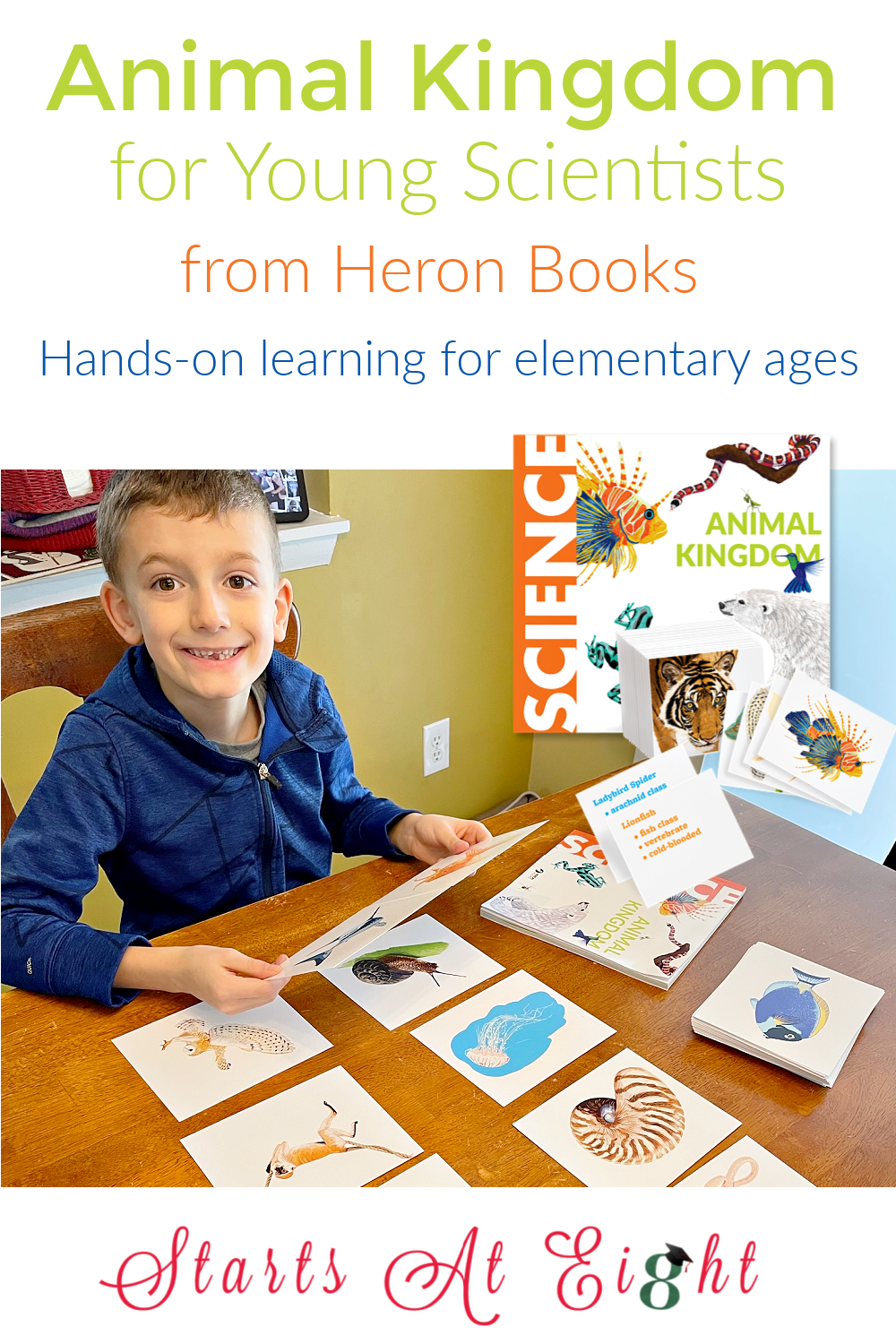 Animal Kingdom for Young Scientist from Heron Books teaches kids ages 7-9 about animal classification, invertebrates vs vertebrates, warm vs. cold blooded and more! A review from Starts At Eight