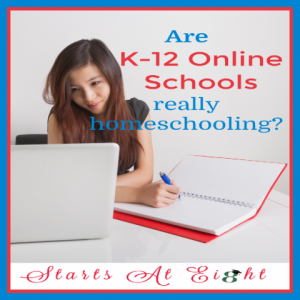 Are K-12 Online Schools Really Homeschooling? I think that depends on your definition. Let's take a look and explore the options.