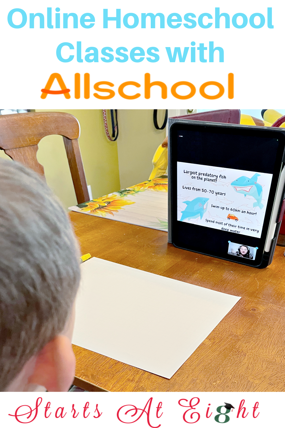 Online Homeschool Classes with Allschool are live, interactive, and fun! Add enrichment to your homeschool with classes on animals, science experiments, dance, math and more! A review from Starts At Eight