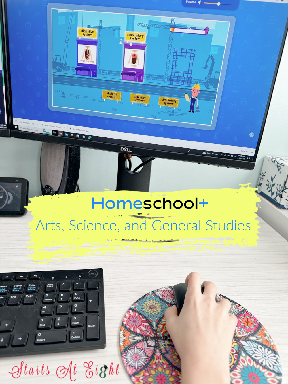 Homeschool+ also offers arts, science, and general studies courses