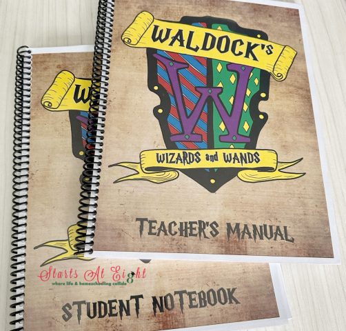 Wizards and Wands Teacher's Manual and Student Notebook