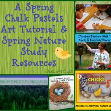 Spring Chalk Pastels Art Tutorial & Spring Nature Study Resources from Starts At Eight